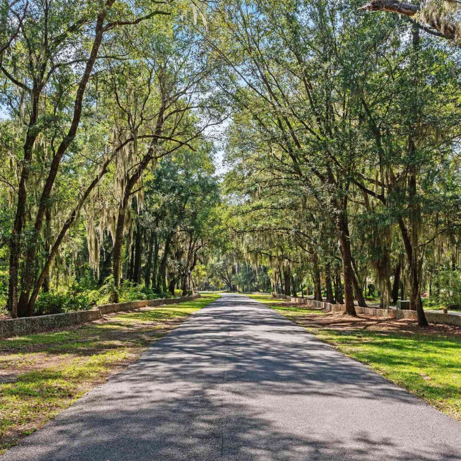 Vacant Land For Sale - LOT 4 Carnochan Ln.<br/> Darien, GA 31305
