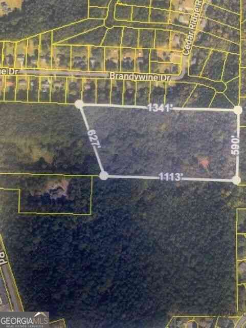 Vacant Land For Sale - 294 Oakridge Drive<br/> Forsyth, GA 31029
