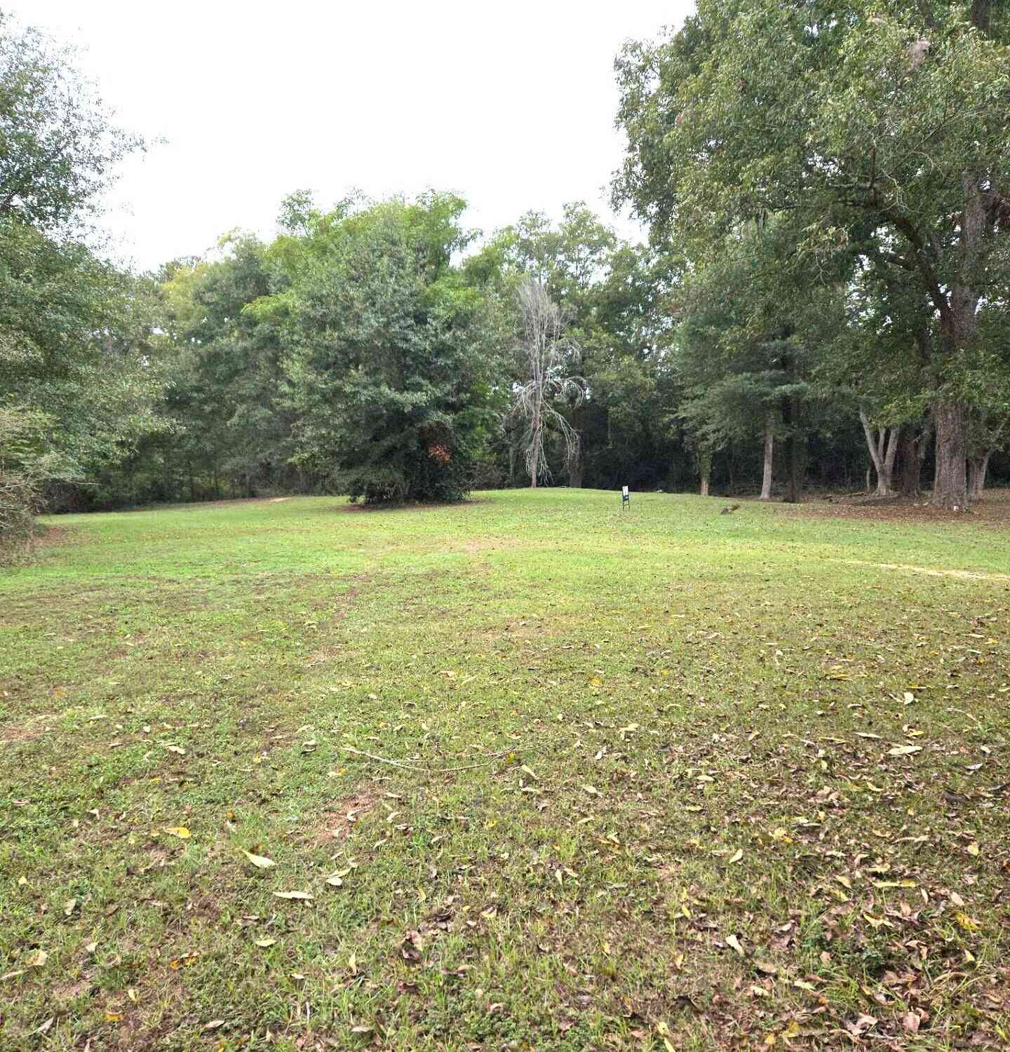 Vacant Land For Sale - 319 Powell Drive<br/> Jackson, GA 30233