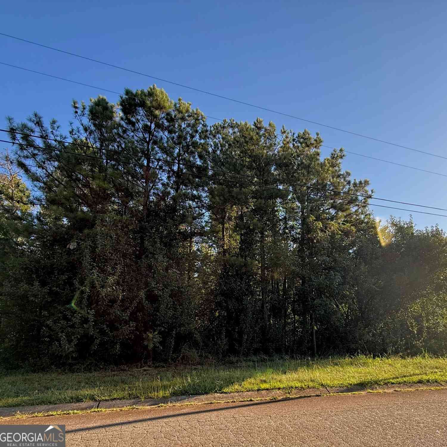 Vacant Land For Sale - 273 Christian Circle<br/> Carrollton, GA 30116