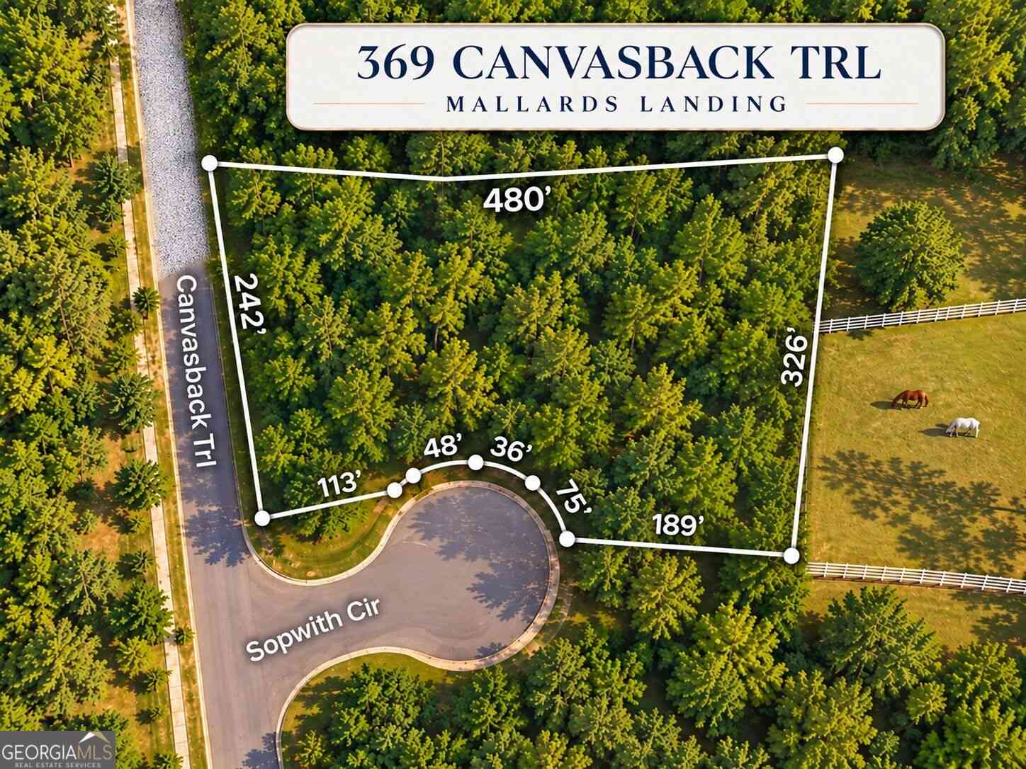 Vacant Land For Sale - 369 Canvasback Trail #147<br/> Locust Grove, GA 30248