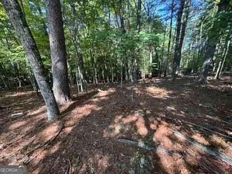 Vacant Land For Sale - LOT 1 Laurelwood Circle<br/> Murphy, NC 28906