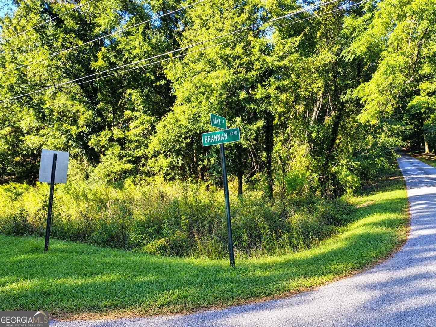Vacant Land For Sale - Brannan Road<br/> McDonough, GA 30253