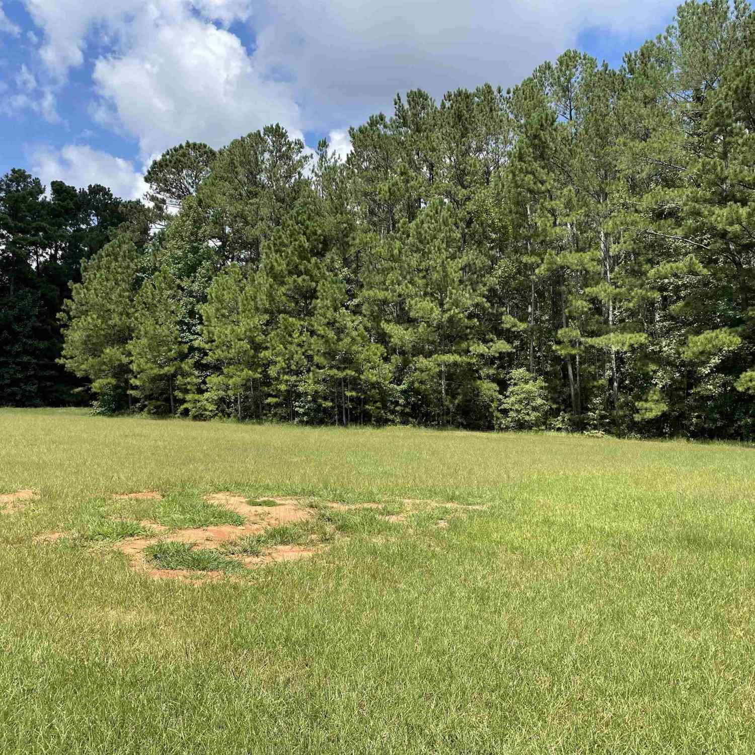 Vacant Land For Sale - Mary Freeman Road<br/> Newnan, GA 30265