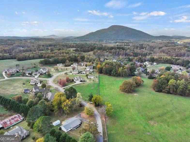 Homes For Sale - 239 Brown Drive<br/> Hall County, Clermont, GA 30527