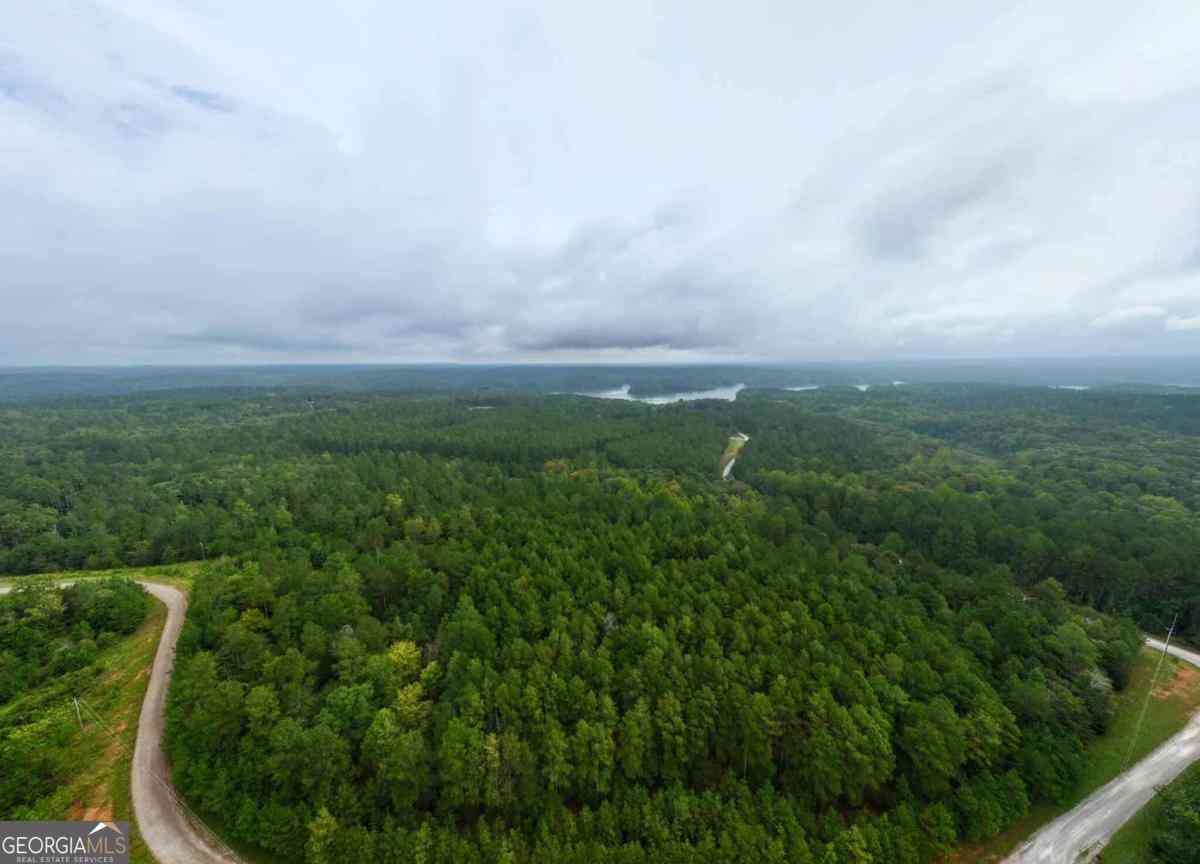Homes For Sale - Jacks Hat Road<br/> Elbert County, Elberton, GA 30635