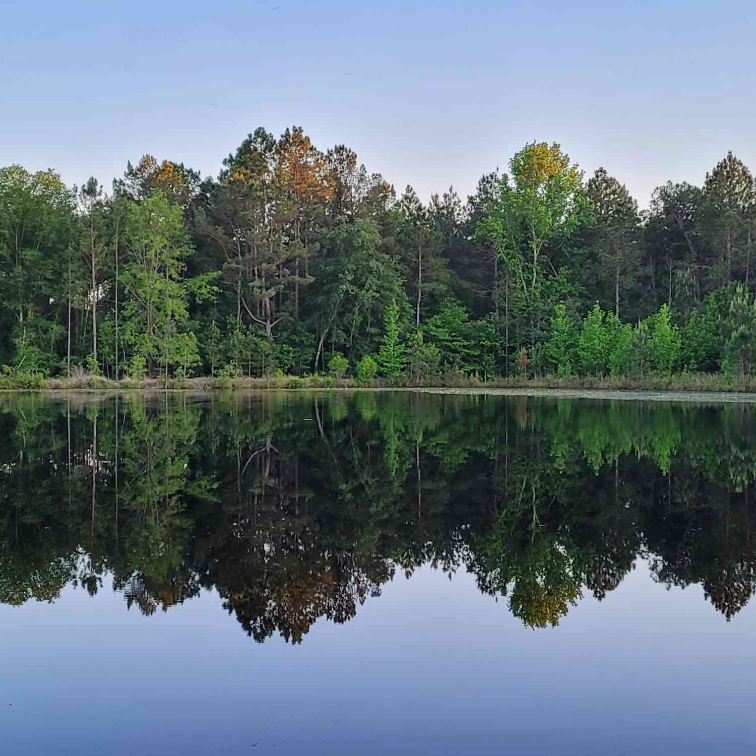 Vacant Land For Sale - 40 Drew Bennett Road<br/> Midville, GA 30441