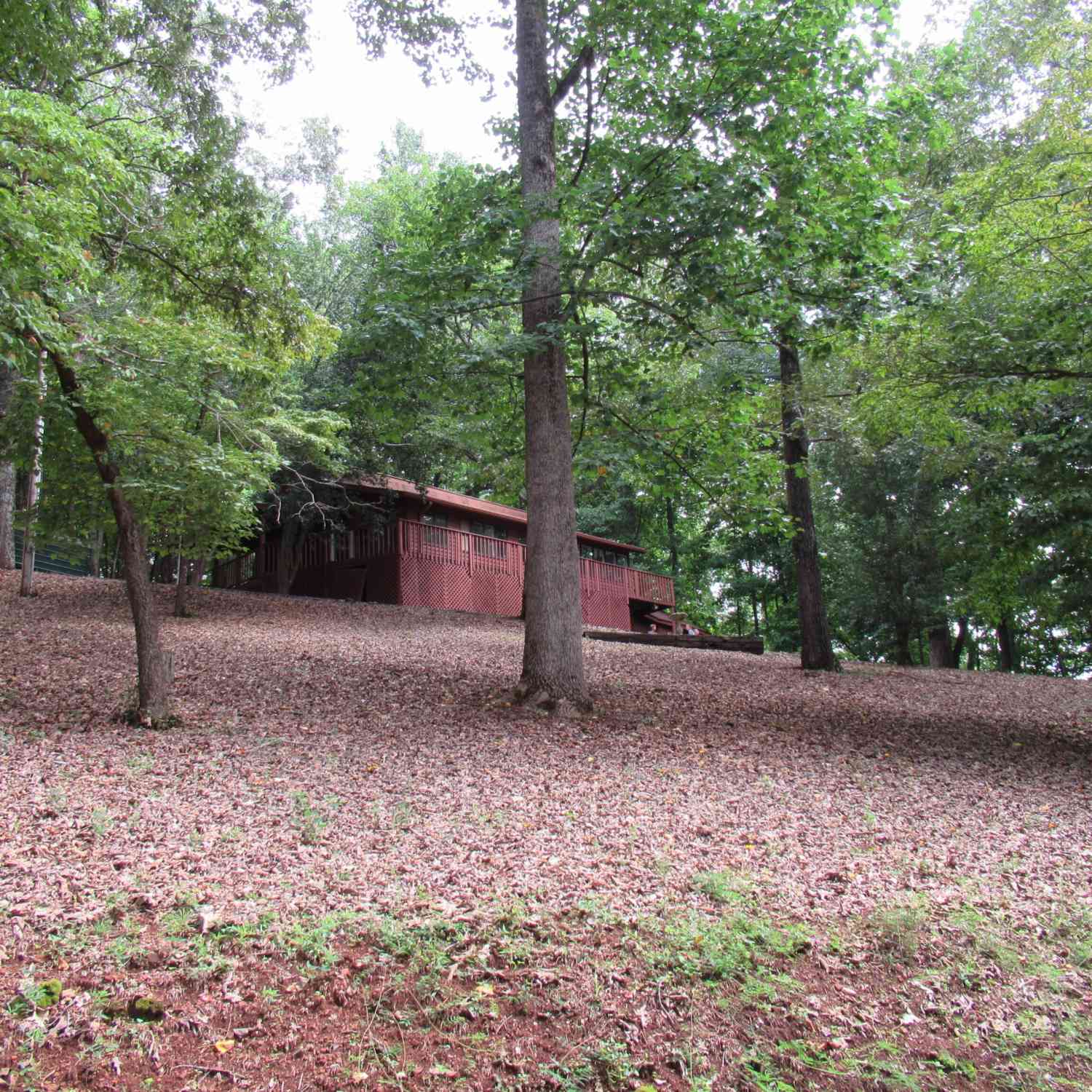 Homes For Sale - 69 Orchard Hill Road<br/> Dahlonega, GA 30533