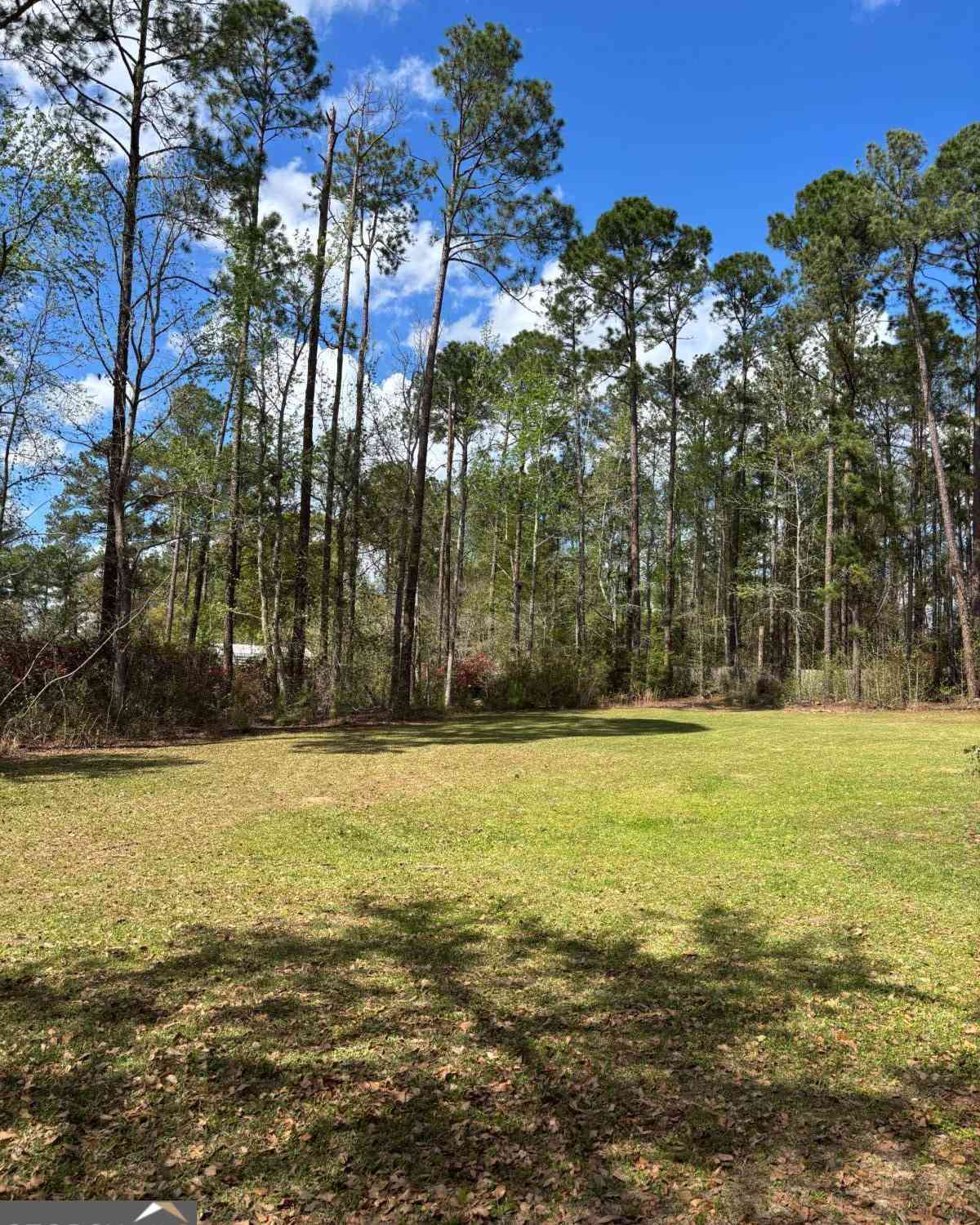 Homes For Sale - 1565 East Lake Drive<br/> Screven, GA 31560