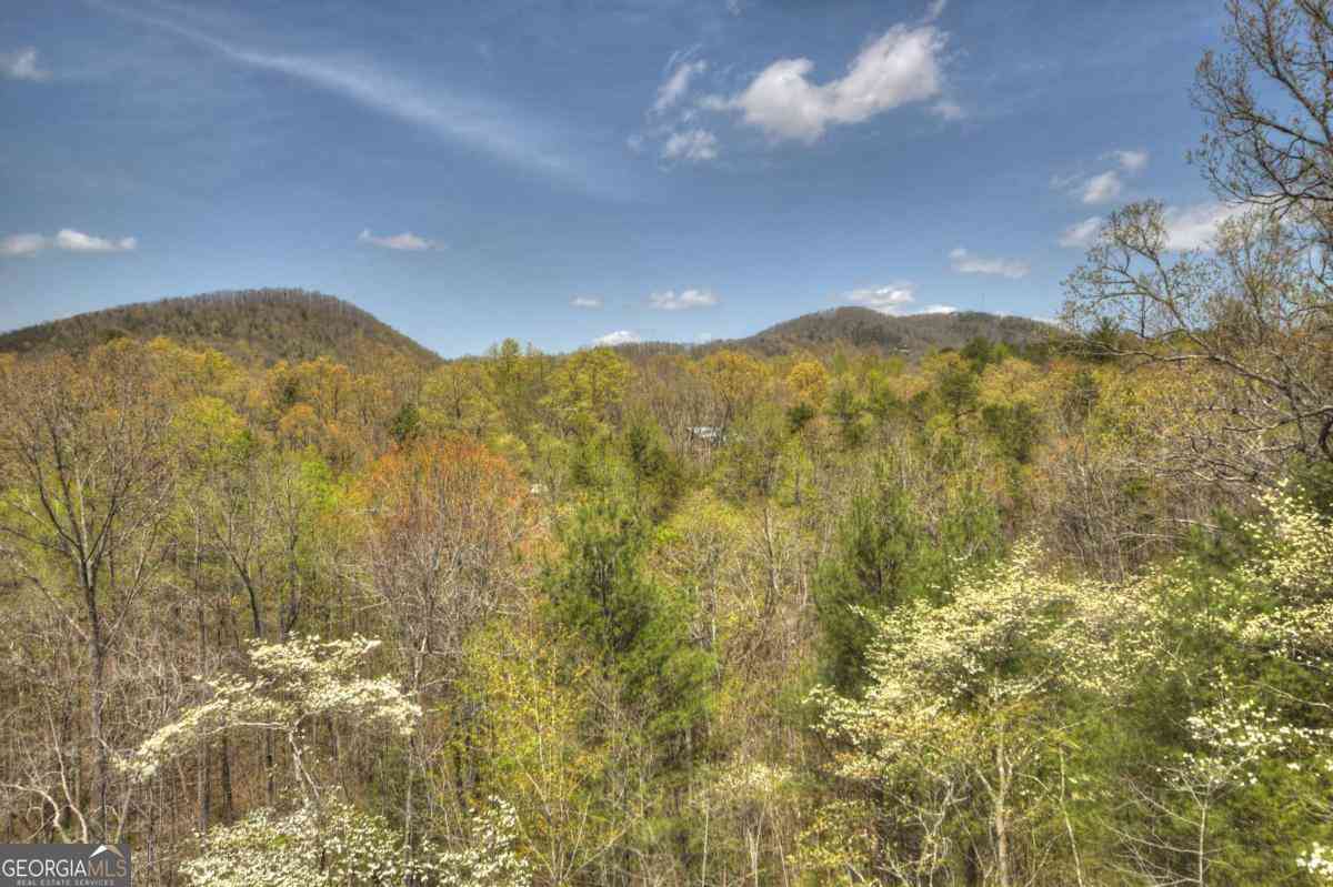 Homes For Sale - 220 Lakota Lane<br/> Fannin County, Mineral Bluff, GA 30559
