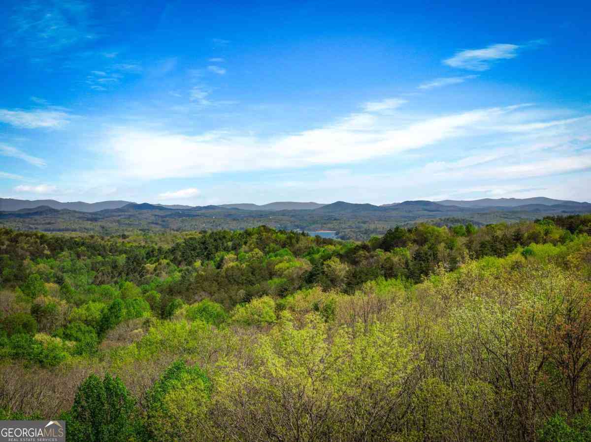 Homes For Sale - 245 Davenport Mountain Road #3<br/> Blue Ridge, GA 30513