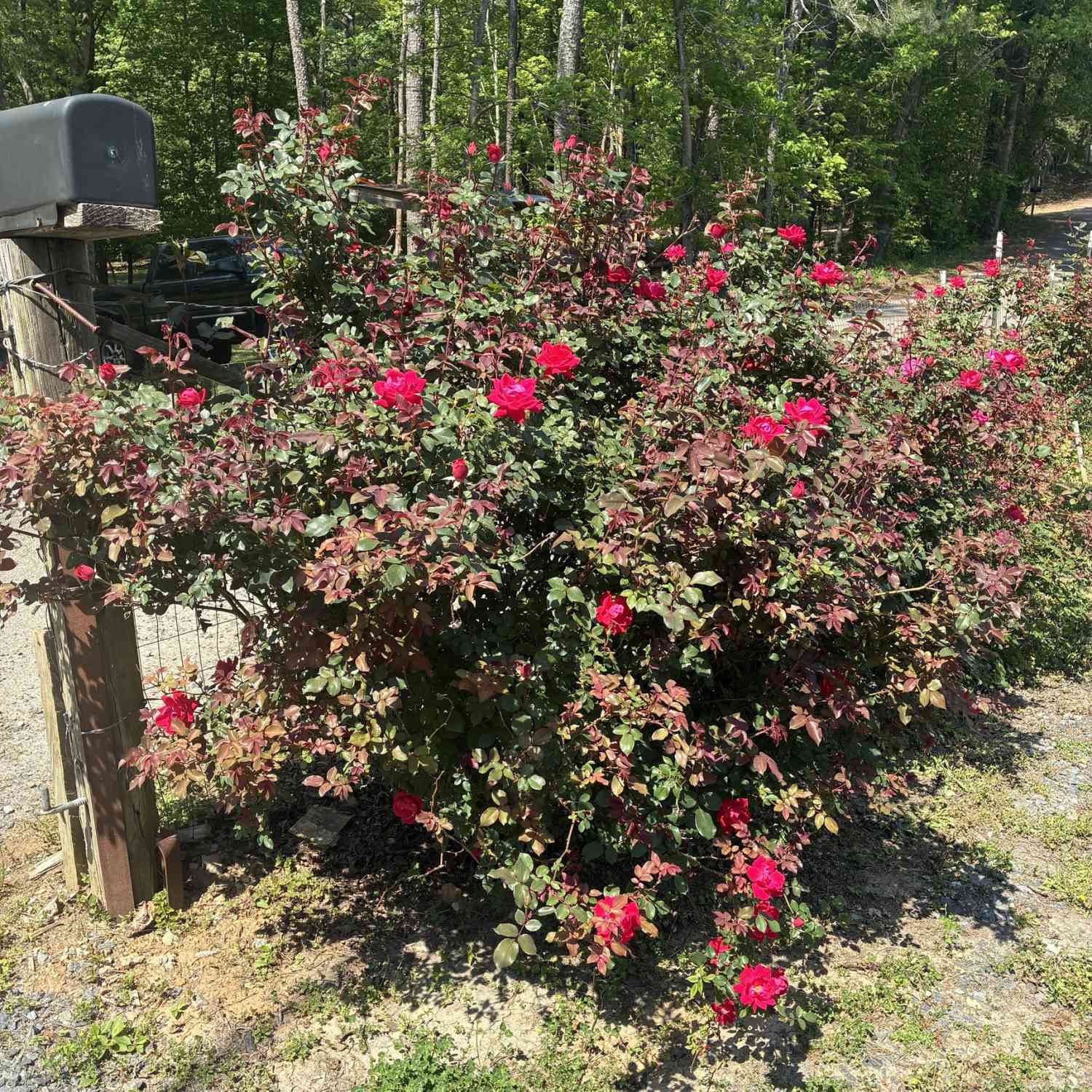 Homes For Sale - 407 Knight Drive<br/> Ellijay, GA 30540