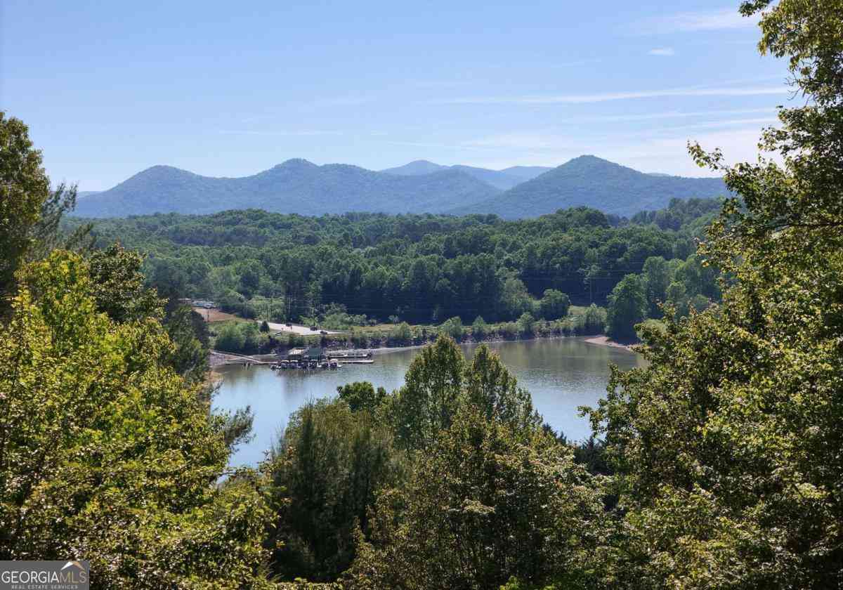 Homes For Sale - 382 Pat Colwell Road #TRACT 1<br/> Blairsville, GA 30512