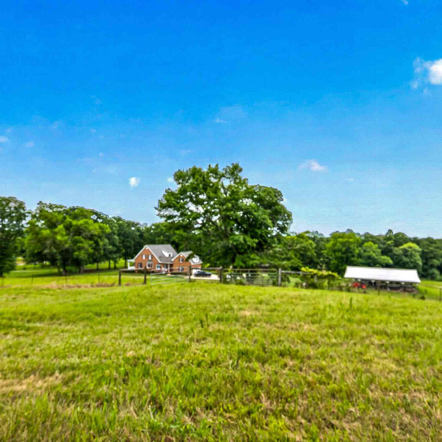 Homes For Sale - 2302 County Road 297<br/> FIVE POINTS, AL 36855