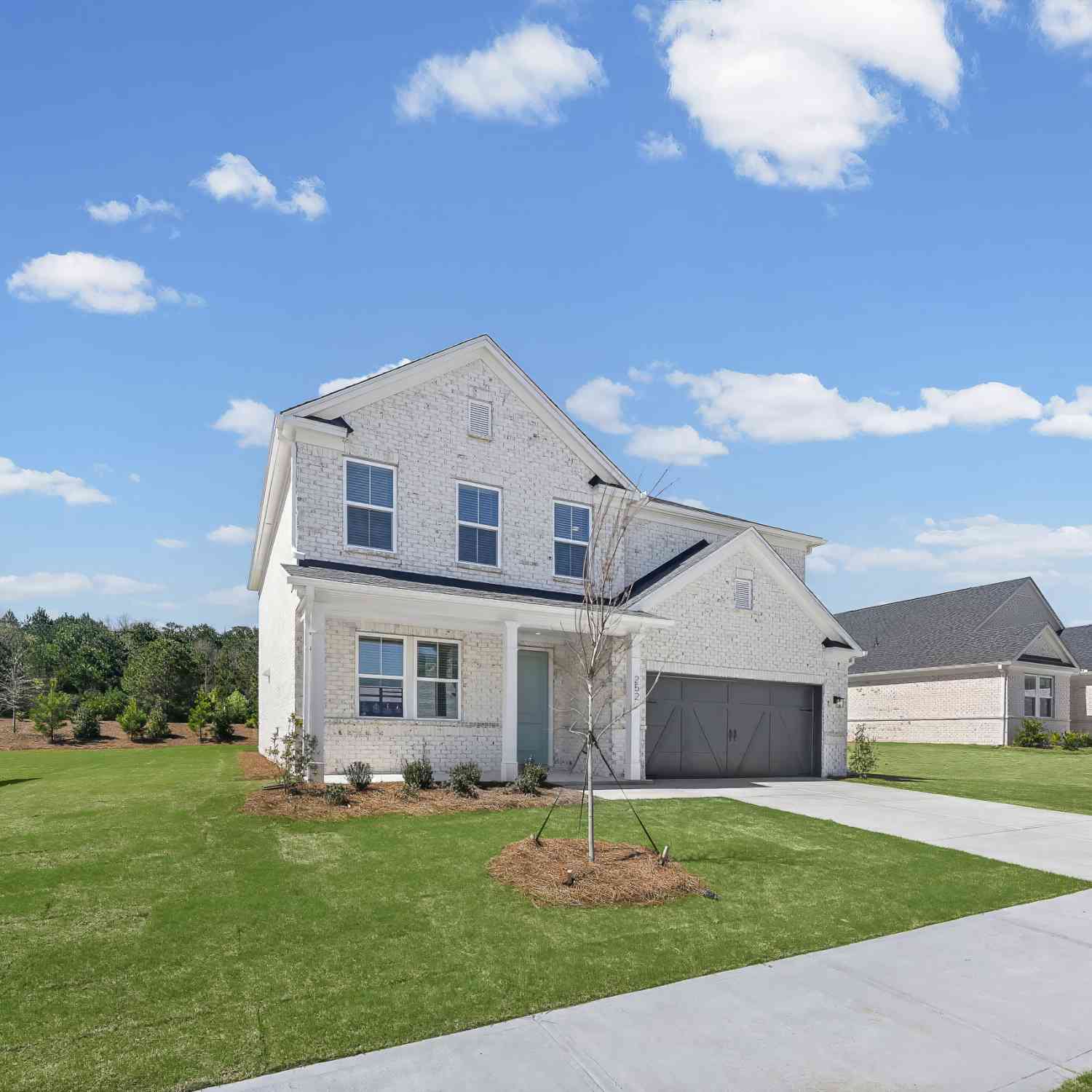 Homes For Sale - 252 Nesta Grove Drive<br/> Locust Grove, GA 30248