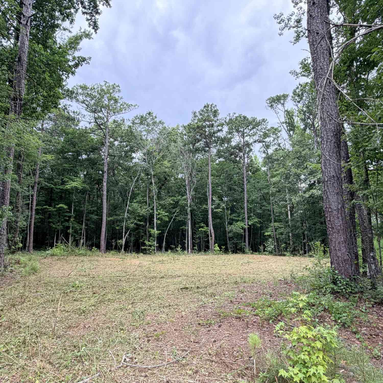 Homes For Sale - 180 Coffey Road #15<br/> Barnesville, GA 30204
