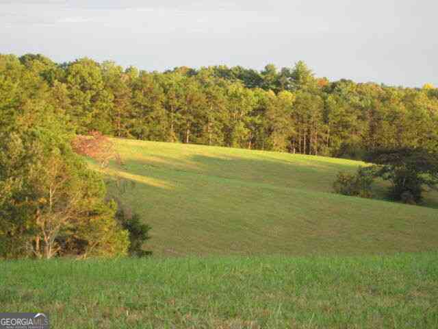 Homes For Sale - 305 Laurel Springs/opossum<br/> Long Creek, SC 29664