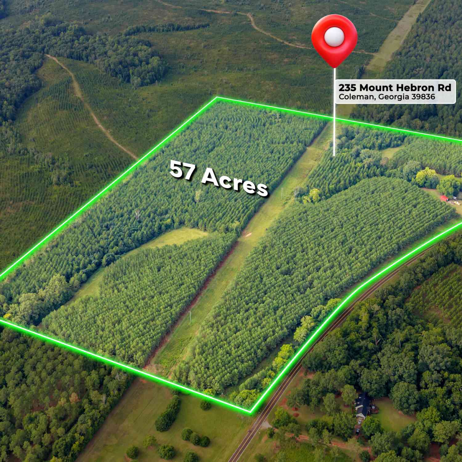 Homes For Sale - 235 Mount Hebron Road<br/> Randolph County, Coleman, GA 39836