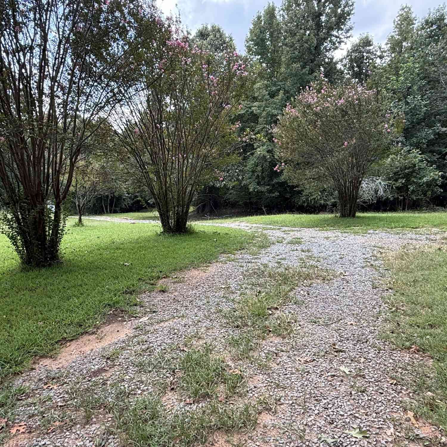 Homes For Sale - 110 County Road 481<br/> Collinsville, AL 35961