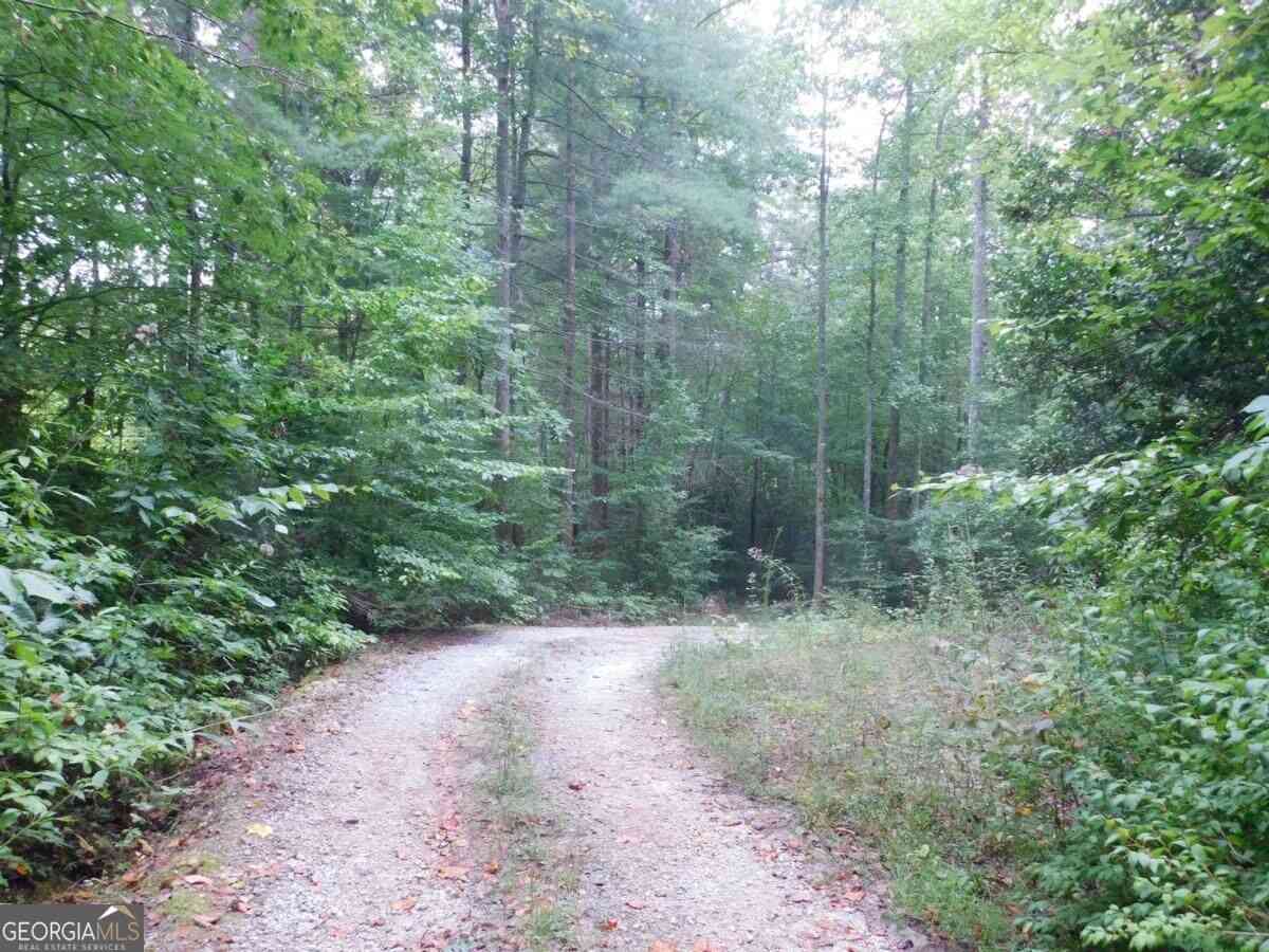 Homes For Sale - 380 David Drive<br/> Tiger, GA 30576