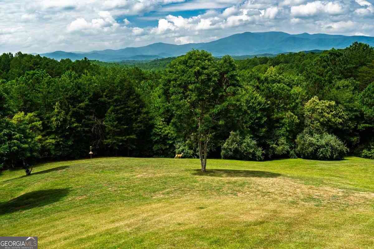 Homes For Sale - 156 Pineview Lane<br/> Copperhill, TN 37317