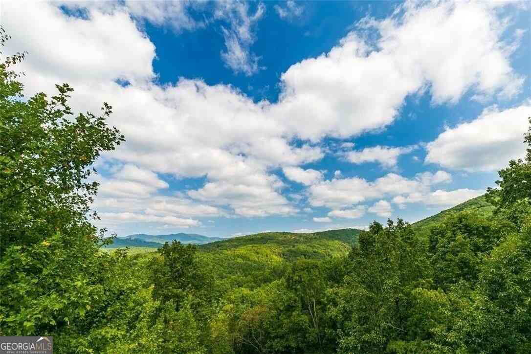 Homes For Sale - 624 Rhonda Lane<br/> Mineral Bluff, GA 30559