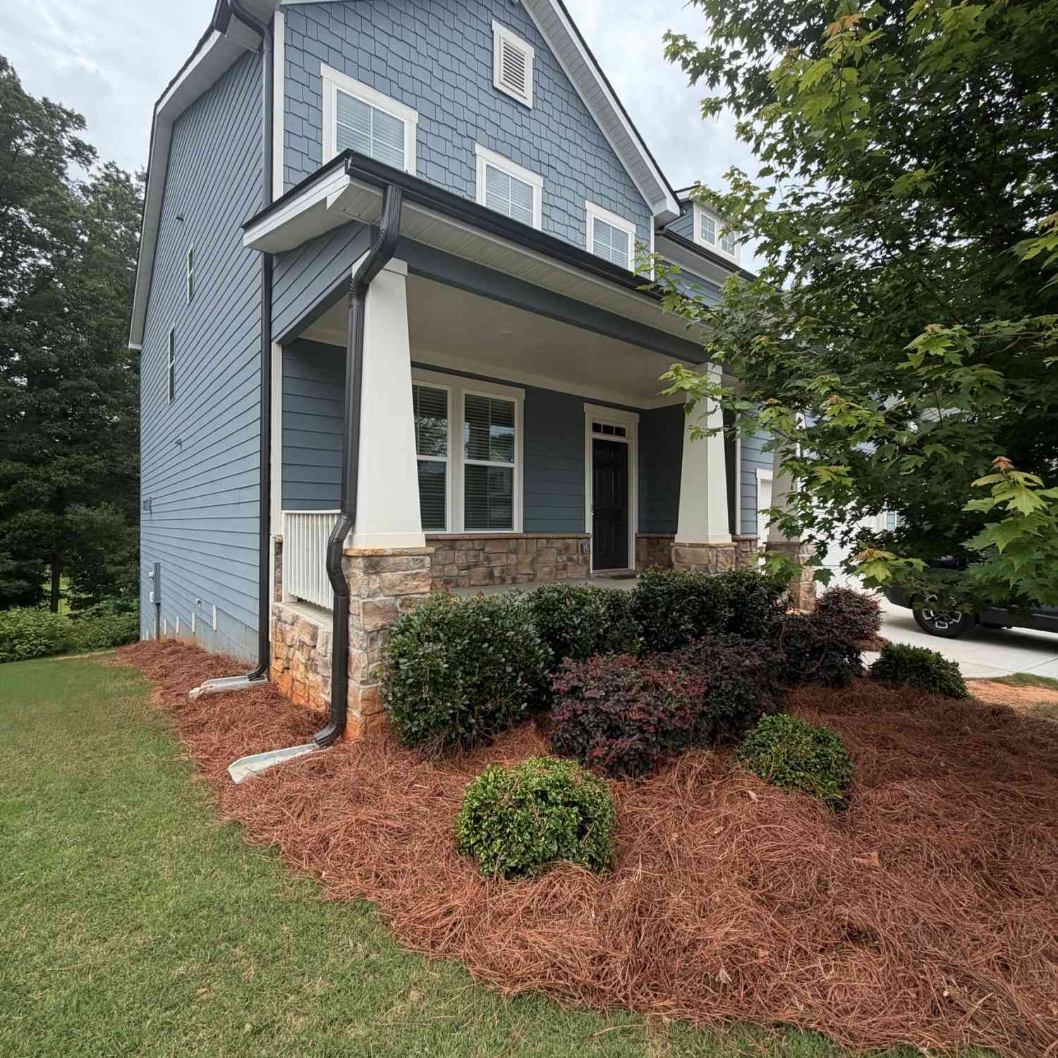 Homes For Sale - 365 Chestnut Chase<br/> Hoschton, GA 30548