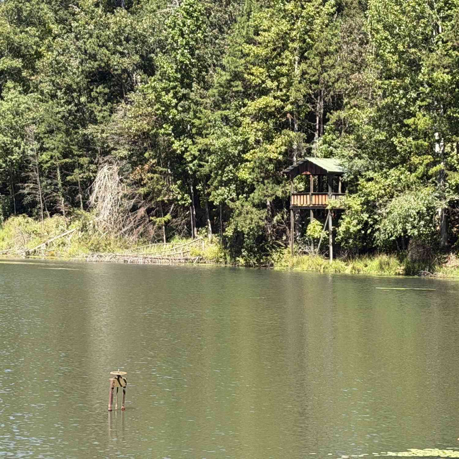 Homes For Sale - 263 Cole Lake Drive<br/> Stephens County, Toccoa, GA 30577