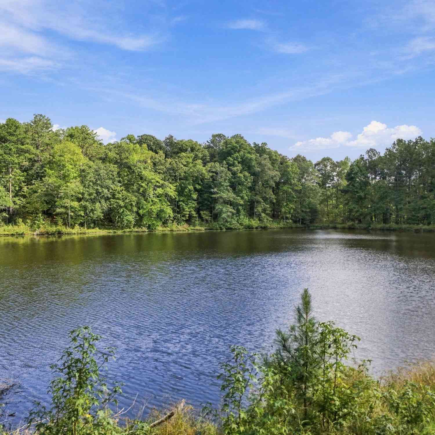 Homes For Sale - 212 Aaron Young Road<br/> Coweta County, Newnan, GA 30263