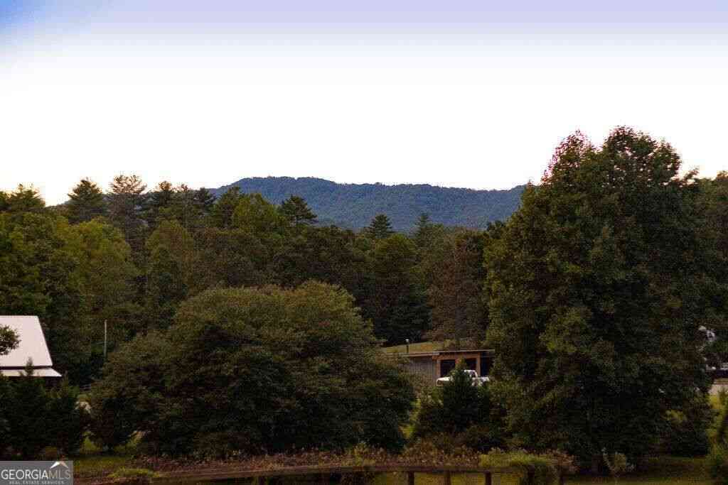Homes For Sale - 210 W Pierceville Road<br/> Fannin County, Mccaysville, GA 30555
