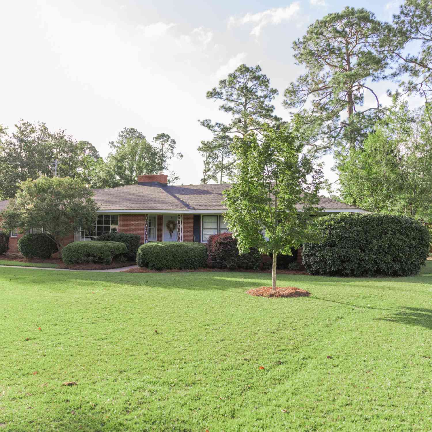Homes For Sale - 1100 Mount Vernon Road<br/> Toombs County, Vidalia, GA 30474