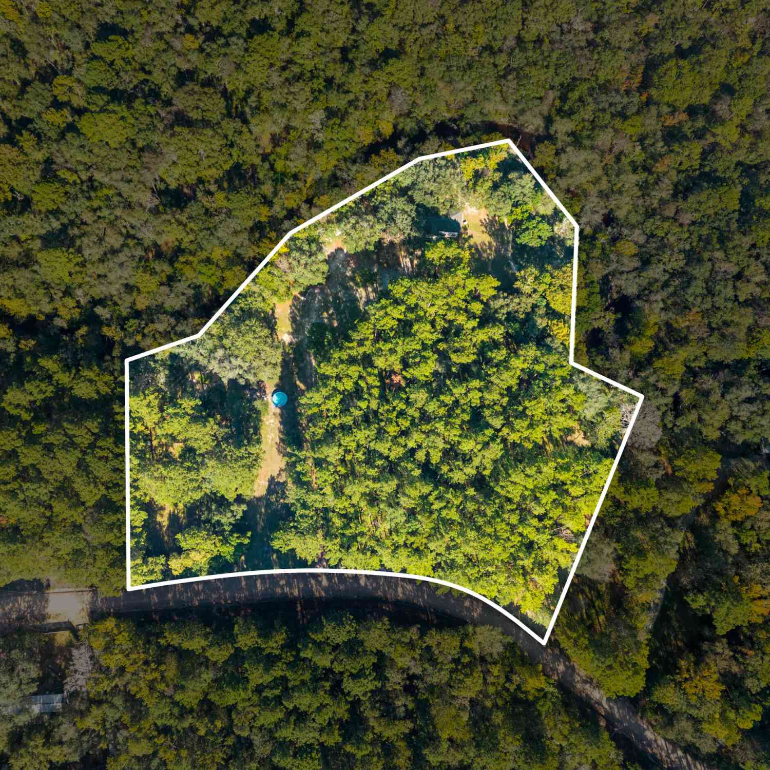 Homes For Sale - 119 Lotts Creek Road<br/> Claxton, GA 30417