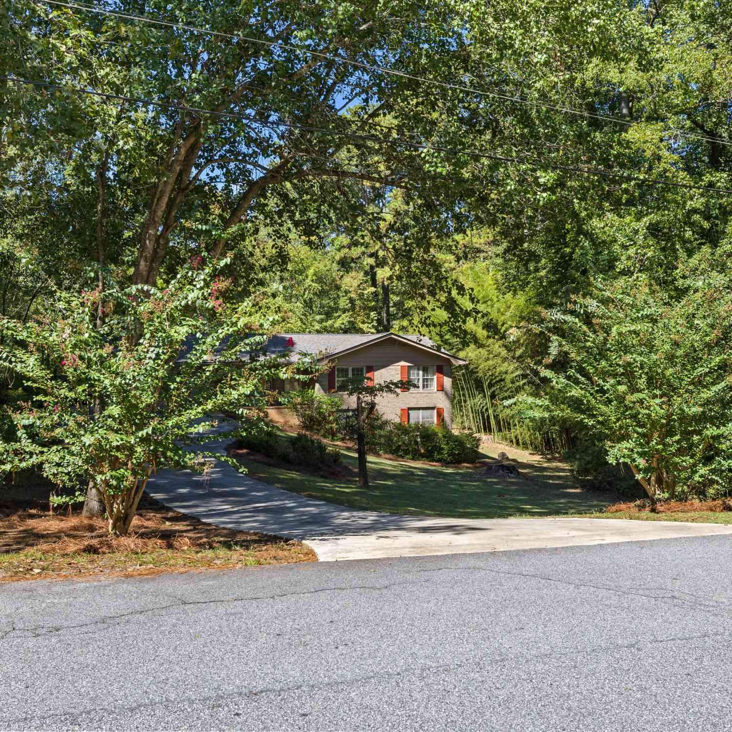 Homes For Sale - 119 Hickory Avenue<br/> Fayetteville, GA 30215