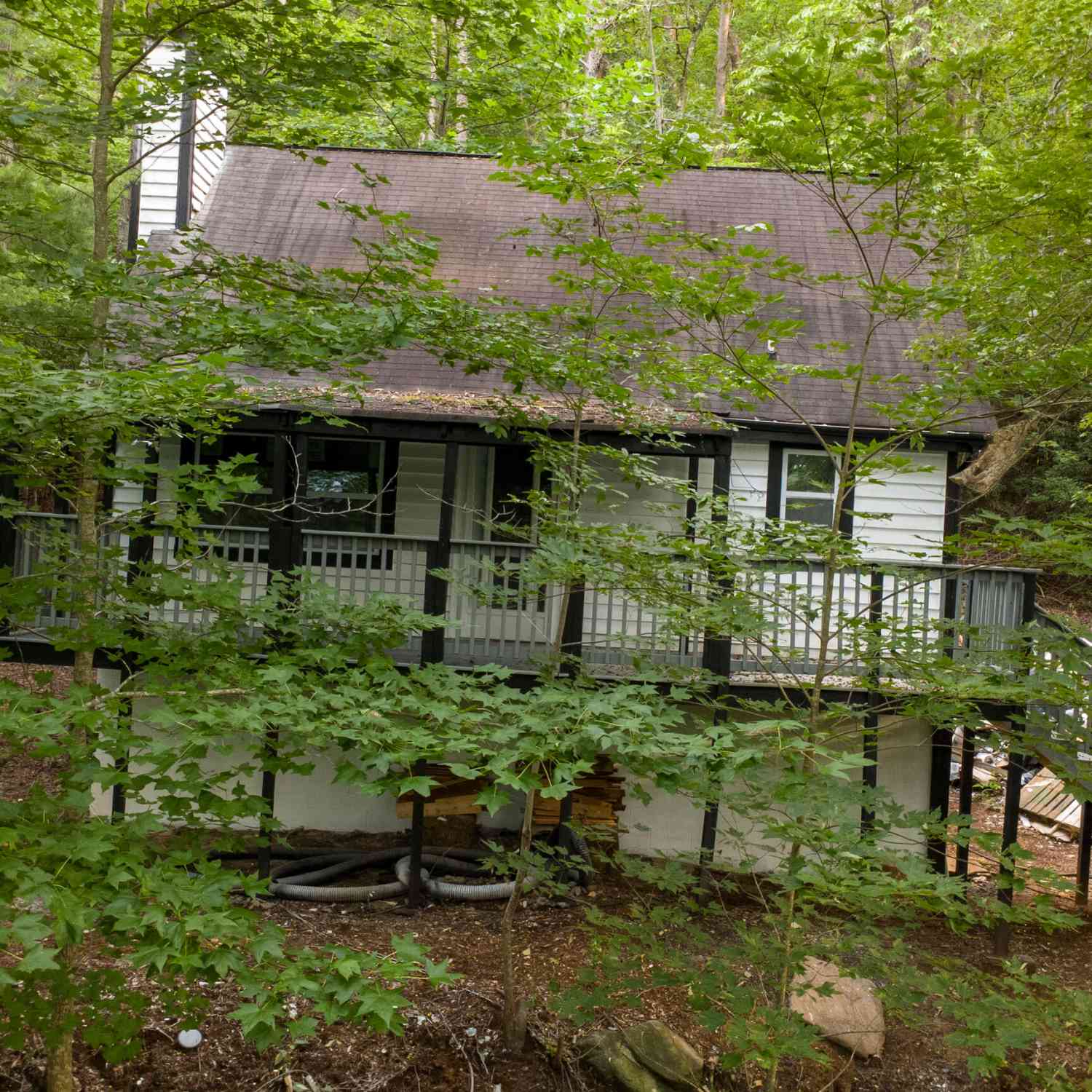 Homes For Sale - 209 Ashley Lane<br/> Dahlonega, GA 30533