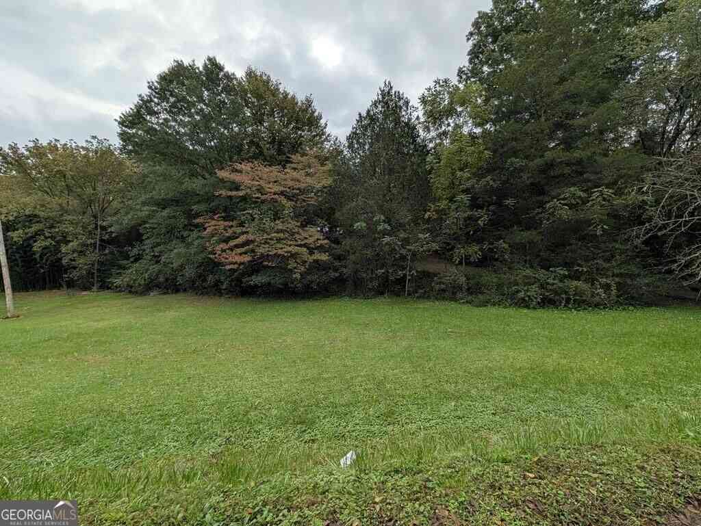 Homes For Sale - 361 Austin Street<br/> Blue Ridge, GA 30513