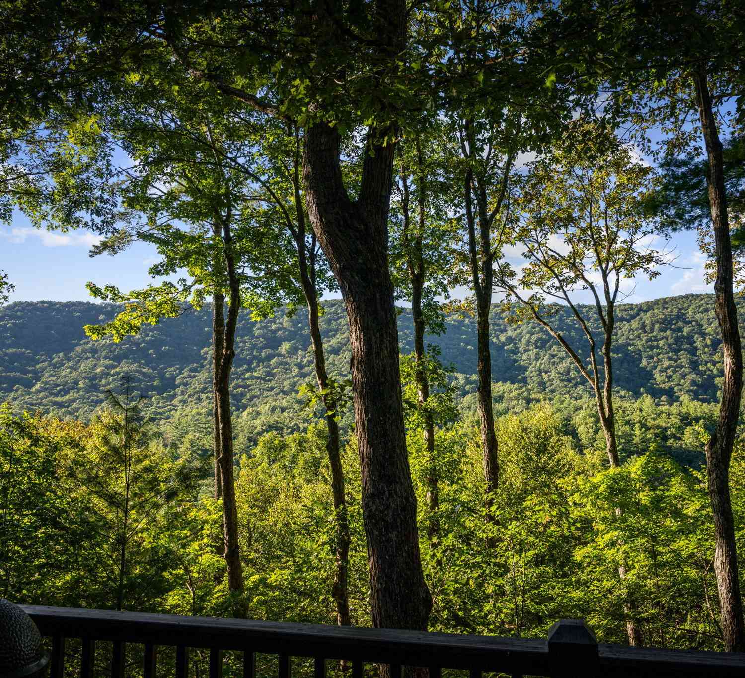 Homes For Sale - 241 Wilderness Way<br/> Gilmer County, Ellijay, GA 30536