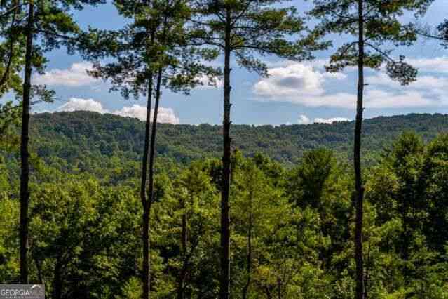 Homes For Sale - 58 Papa Bear Path<br/> Fannin County, Blue Ridge, GA 30513