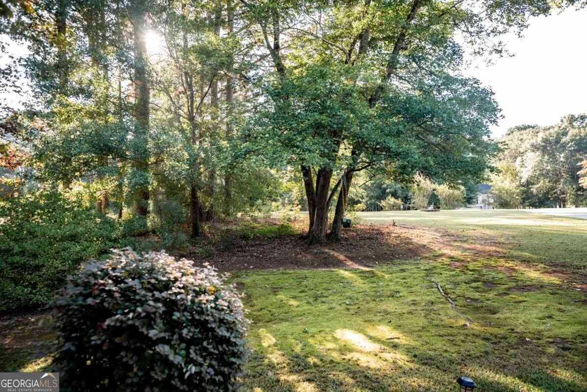 Homes For Sale - 1650 Amalie Drive<br/> Statham, GA 30666
