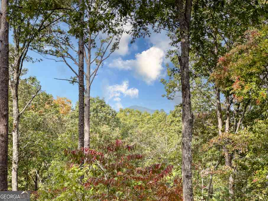 Homes For Rent - 111 Watkins Farm Road<br/> Blue Ridge, GA 30513