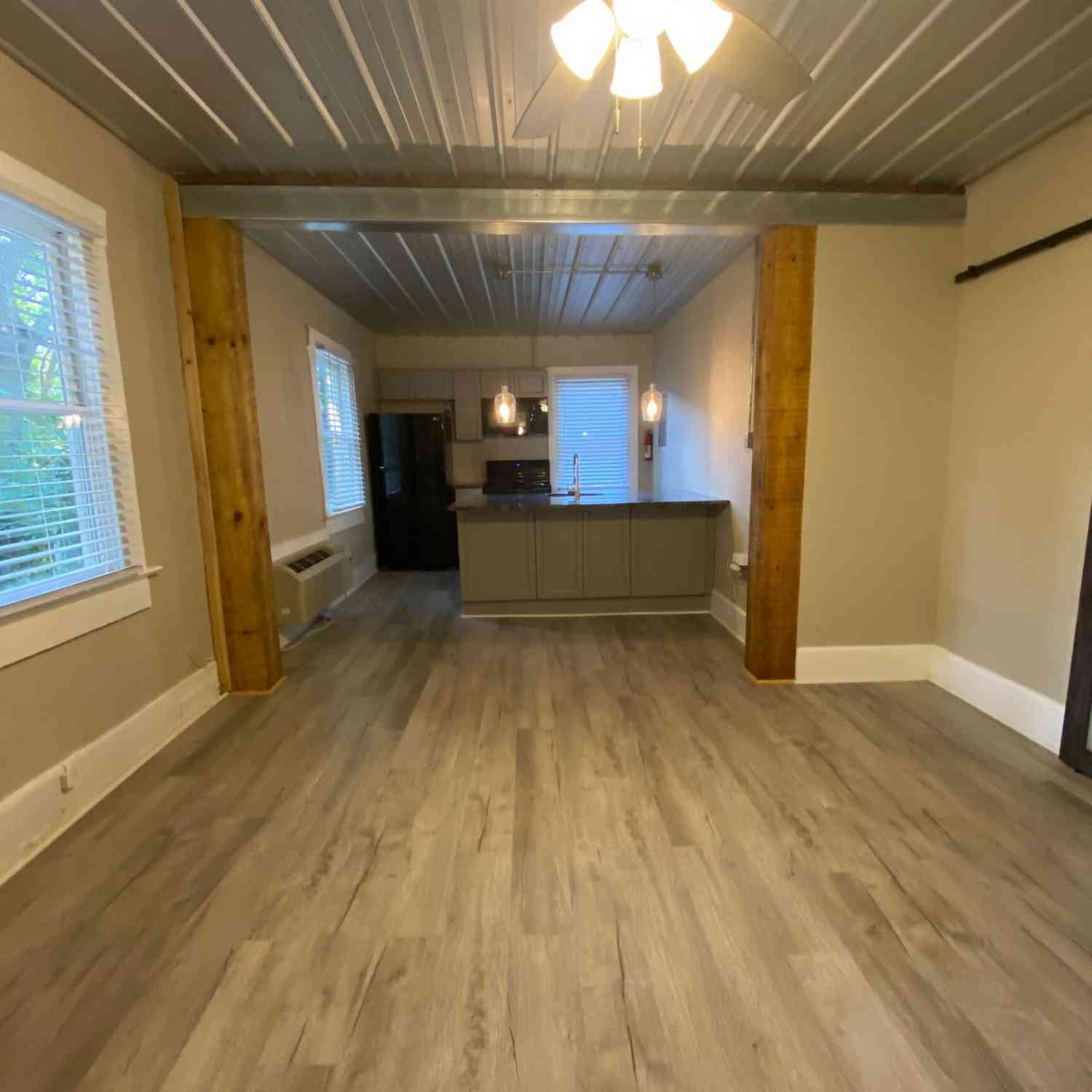 Apartment For Rent - 323 The Plaza #3<br/> Athens, GA 30606
