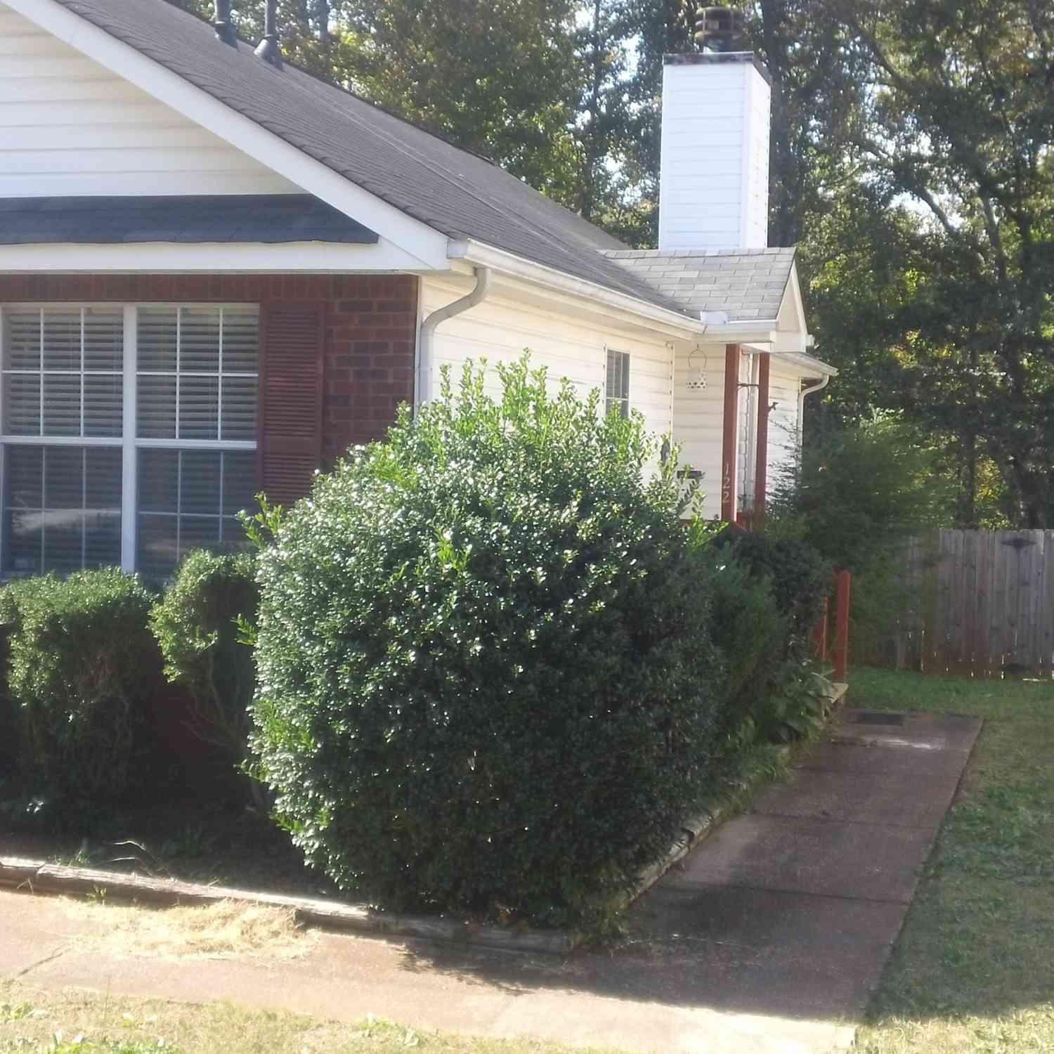 Homes For Rent - 122 Samanthas Way<br/> McDonough, GA 30253