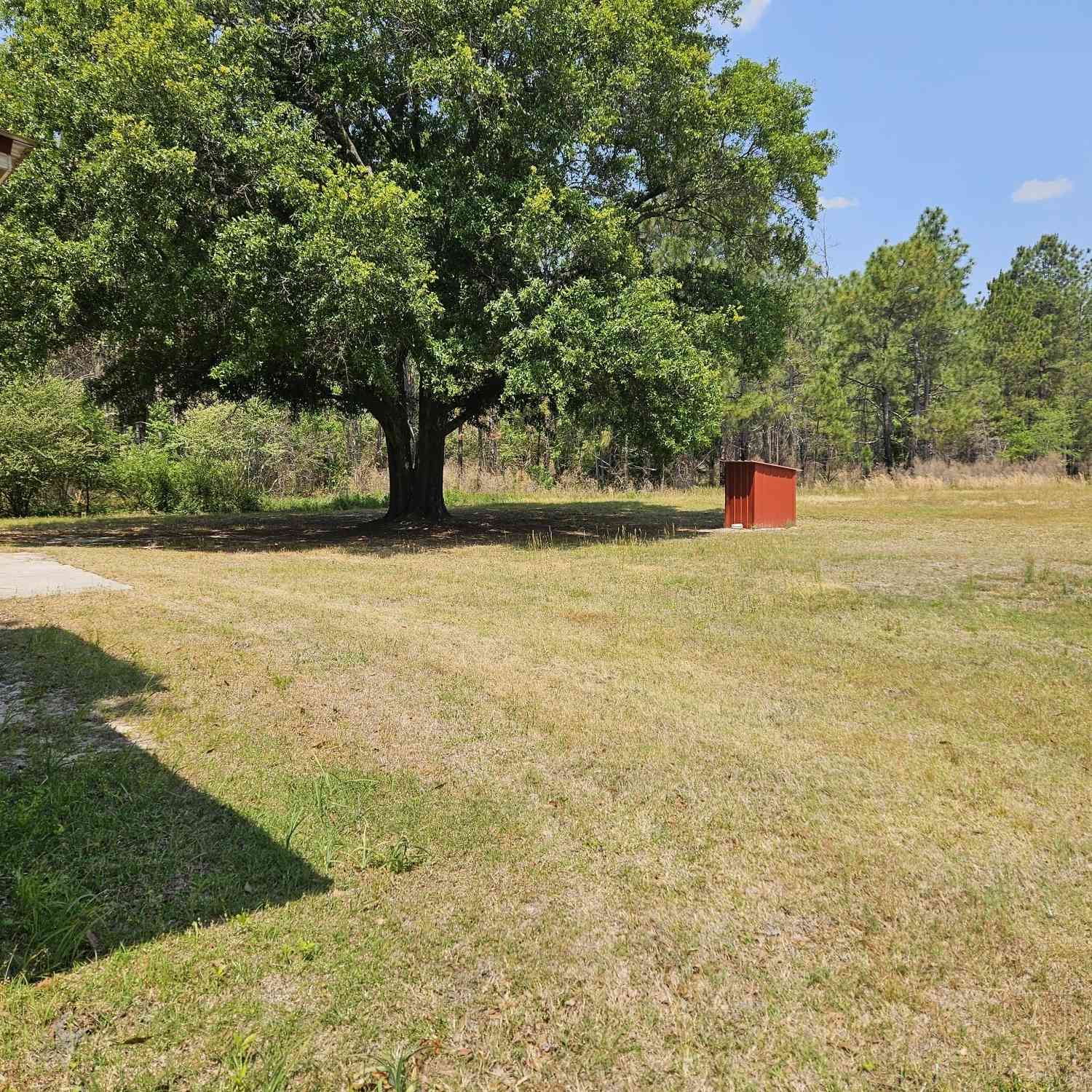 Homes For Rent - 647 Buck Creek Road<br/> Sylvania, GA 30467
