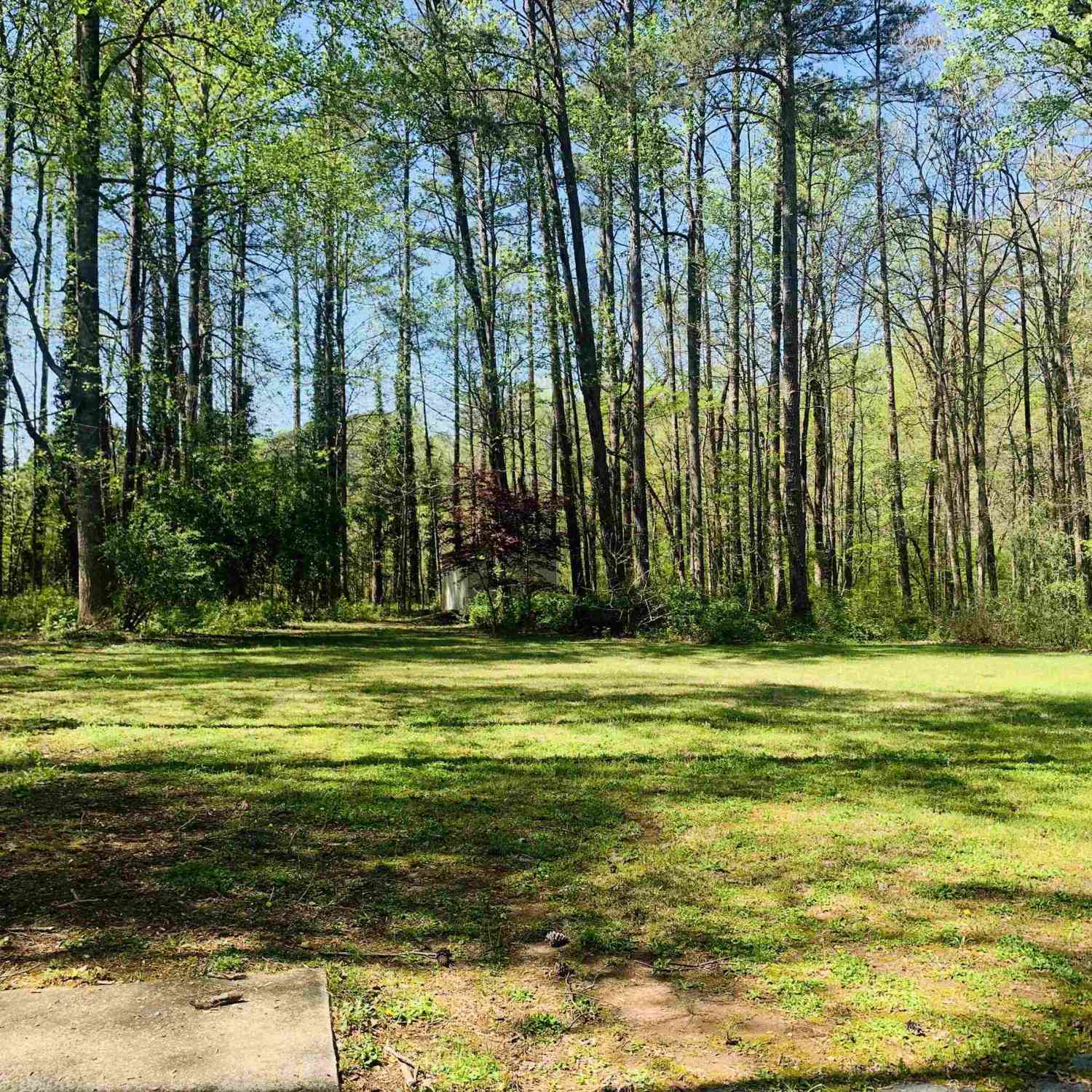 Homes For Rent - 210 Spring Forest Way<br/> Sharpsburg, GA 30277