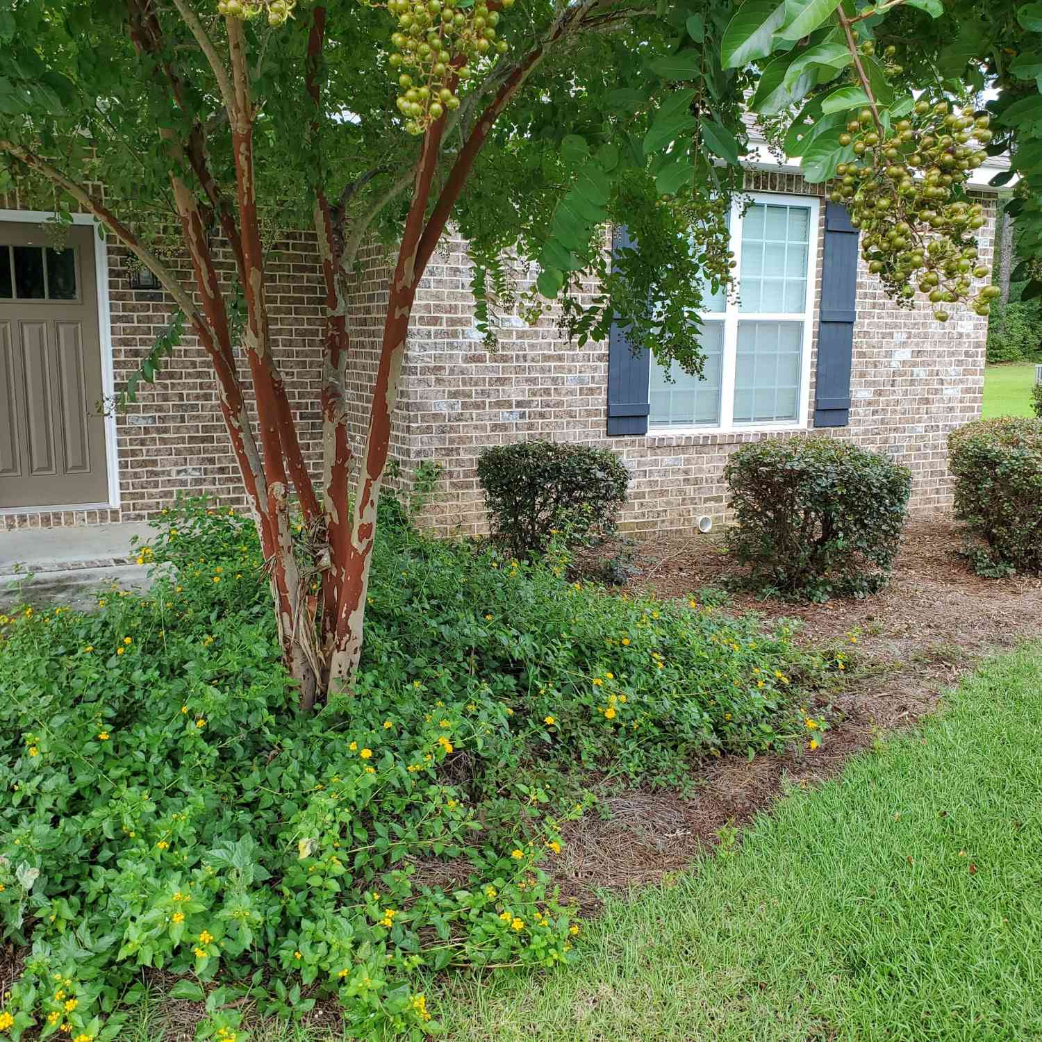 Multifamily For Rent - 600 Country Club Road #APT E2<br/> Laurens County, Dublin, GA 31021