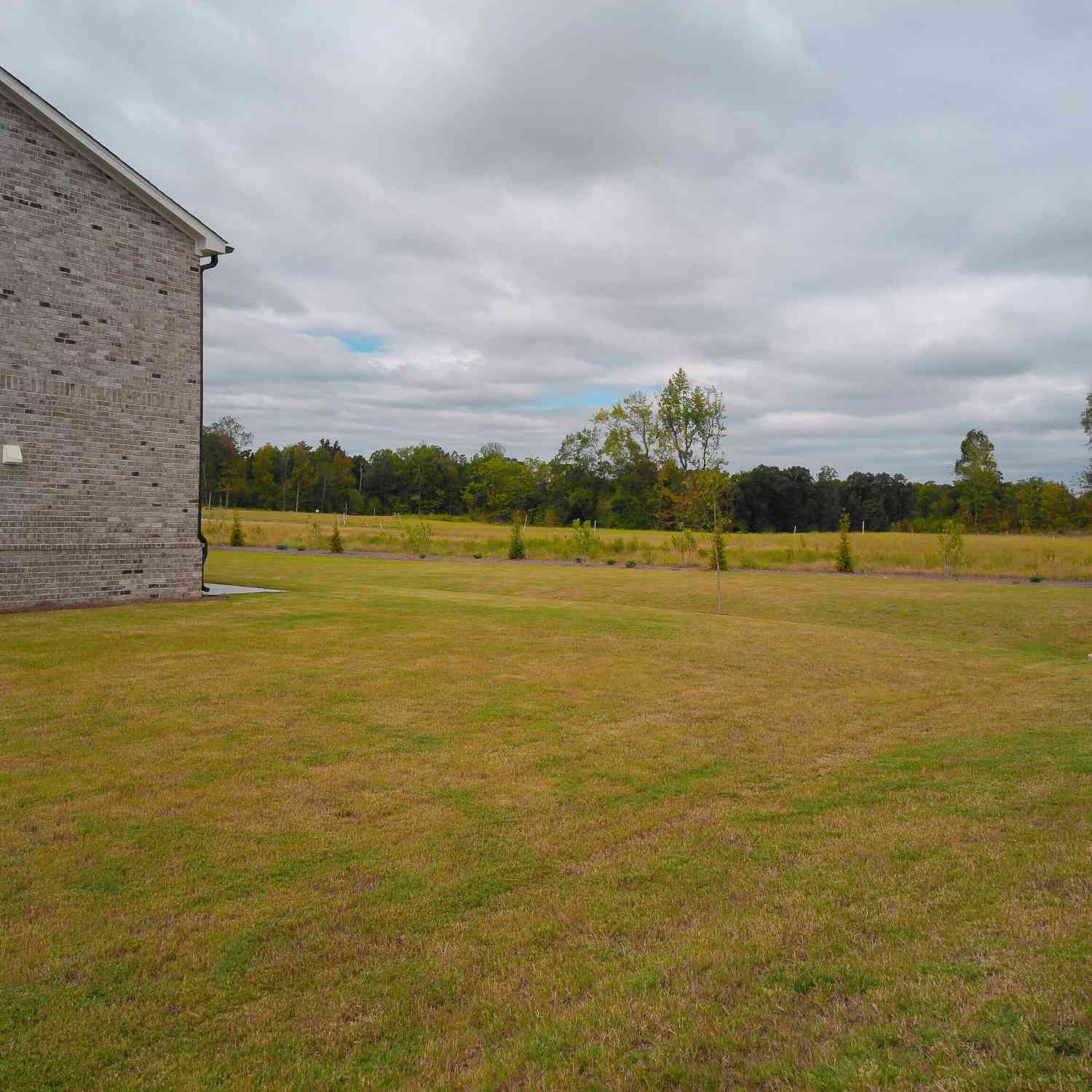 Homes For Rent - 308 Earnshaw Avenue<br/> McDonough, GA 30253