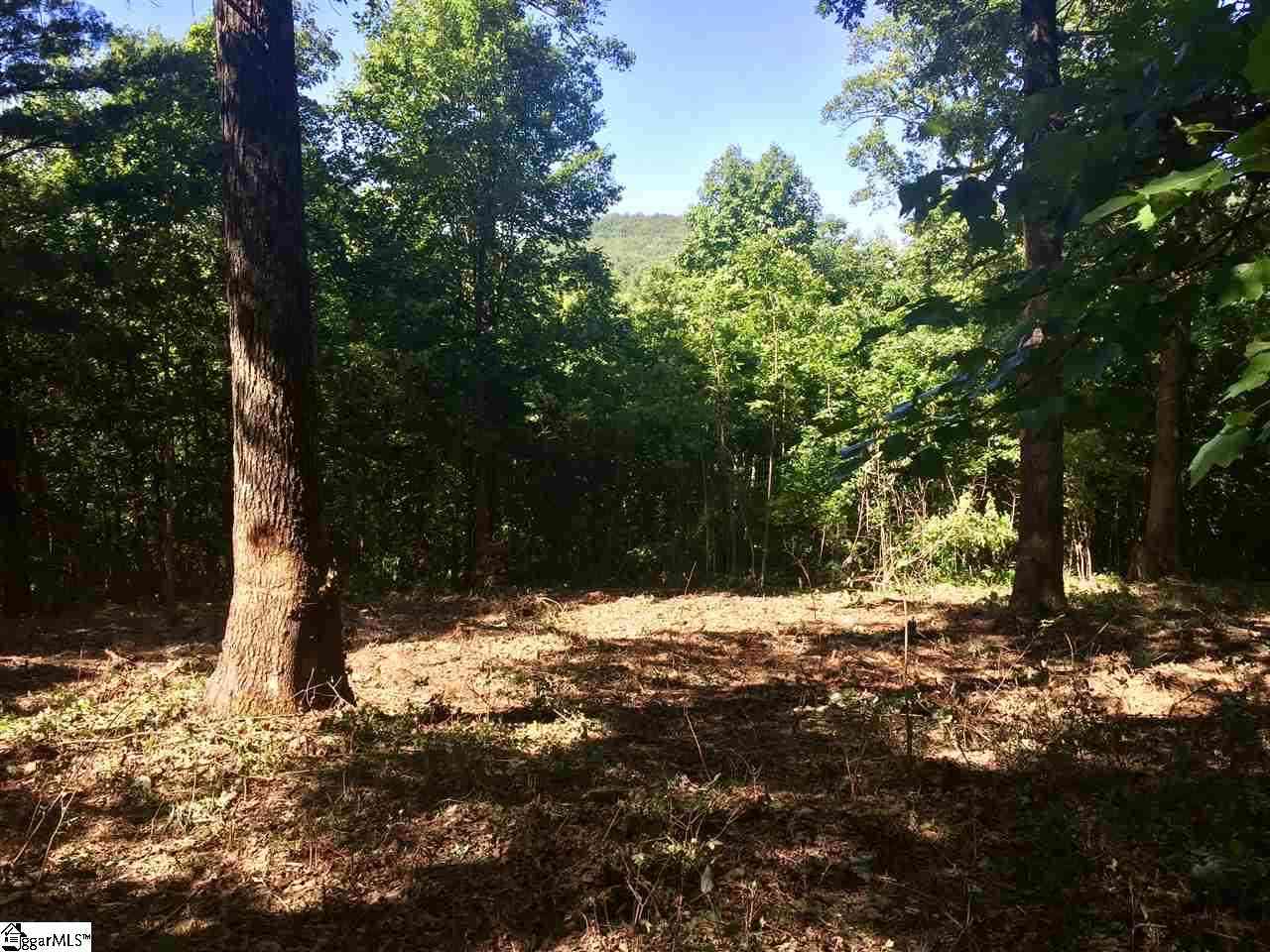 Vacant Land For Sale - 28 Wild Ginger<br/> Landrum, SC 29356