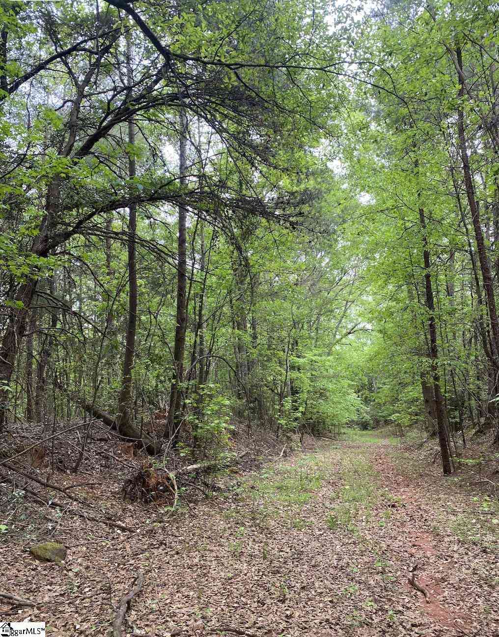 Vacant Land For Sale - 00 Wingo<br/> Wellford, SC 29385