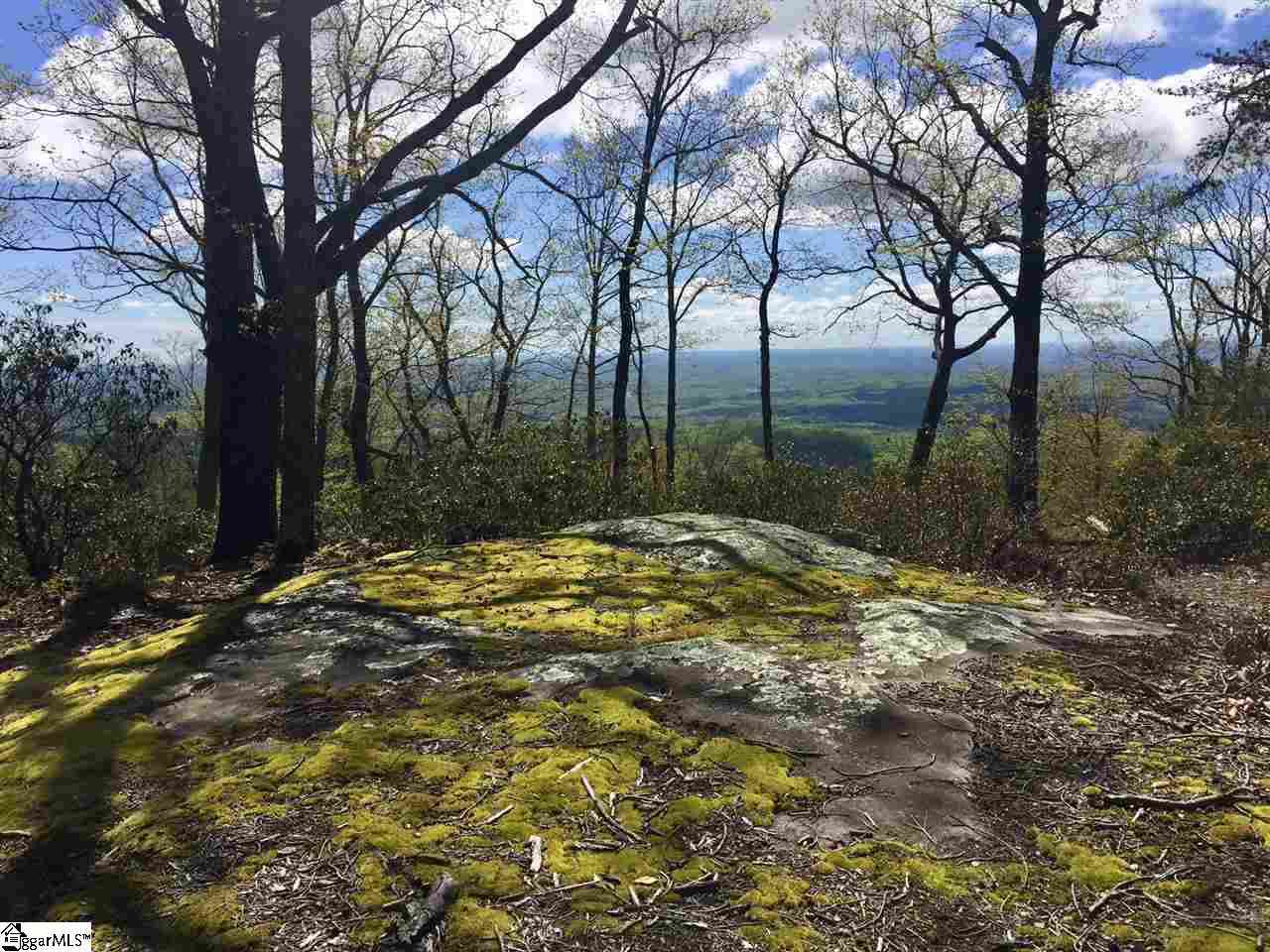 Vacant Land For Sale - 401 Stony<br/> Greenville County, Landrum, SC 29356