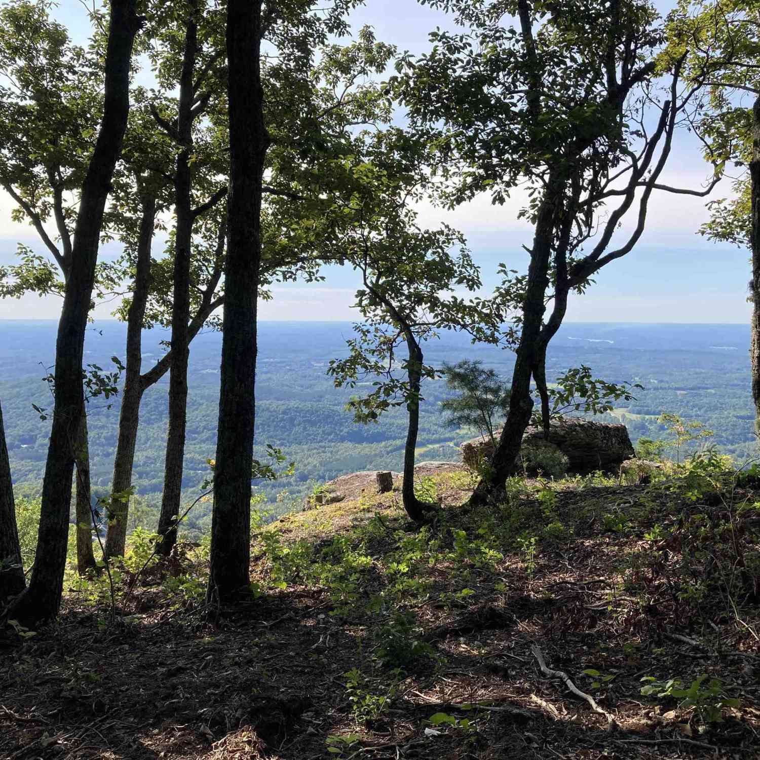 Vacant Land For Sale - 403 Stony<br/> Greenville County, Landrum, SC 29356