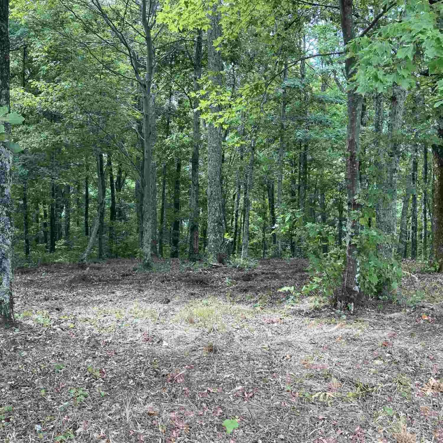 Vacant Land For Sale - 28 Raven<br/> Landrum, SC 29356